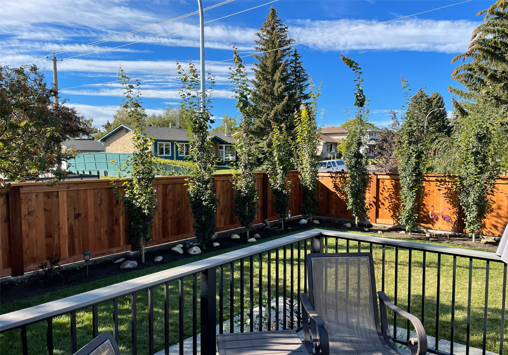 Big-Dog-Contracting--Exterior-Photo-4